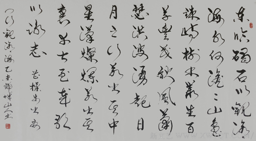 赵善坤书法作品《 观沧海》